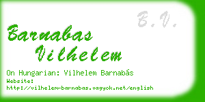 barnabas vilhelem business card